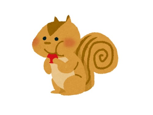 「保護した赤ちゃんリスにセーターを着せたら…」