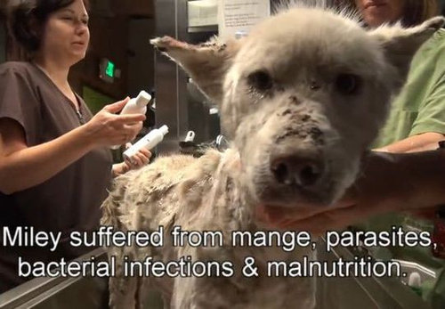 ���ߤλ�����餹�ۡ���쥹����߽�09