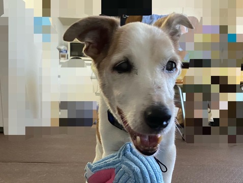 79D45768-F6F9-4C8F-91E9-D6D7A4680F5C