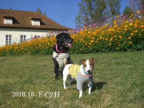 2010.10.17.バス旅行2