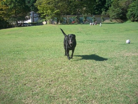2010.9.26-1
