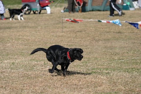 IMG_1588 (2)