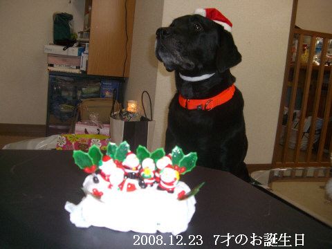 2008.12.7才の誕生日