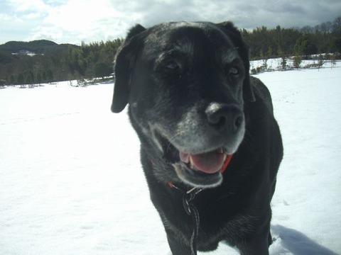 2014.2.9淡路島公園