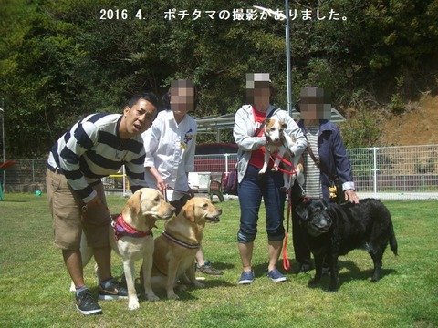 2016.4.3-3