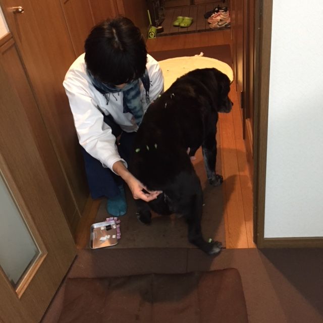 イメージ 2