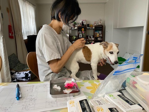 A4B1D45D-E1F1-4B89-A304-7BF52B2A7EFE