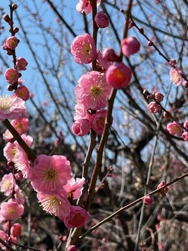IMG_7970
