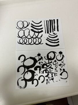 IMG_3568