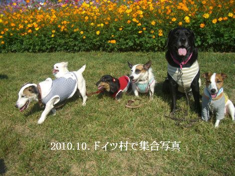 2010.10.17.バス旅行3