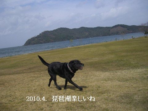 2010.4.4.今年初琵琶湖