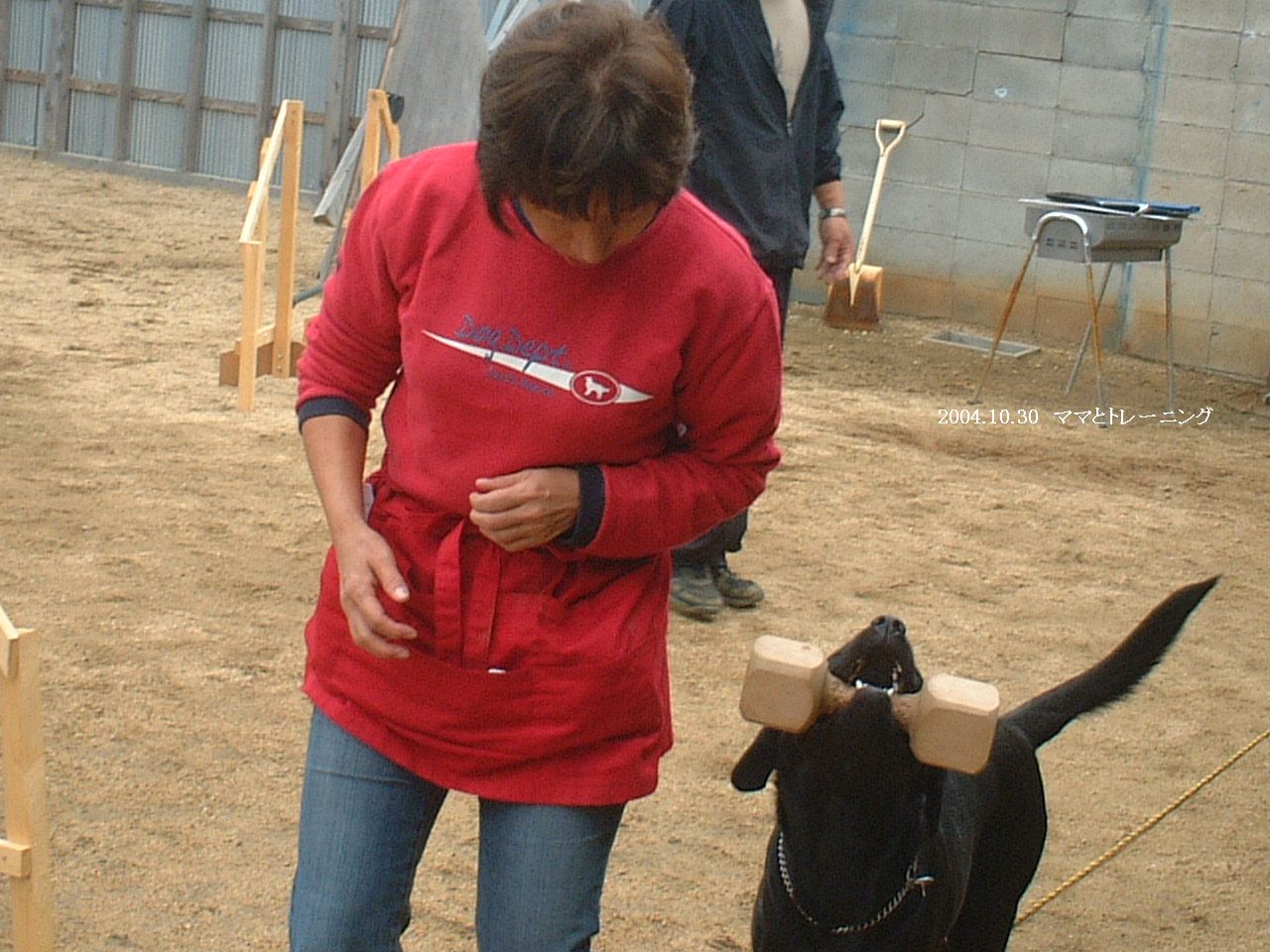 イメージ 6