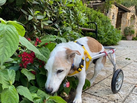 CE7031F0-C645-4C08-B35C-7B3A4AA322BE