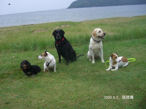 2008.6.4