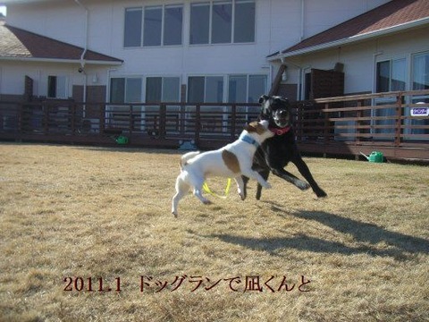 2011.1.5