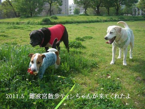 2011.5.5.2