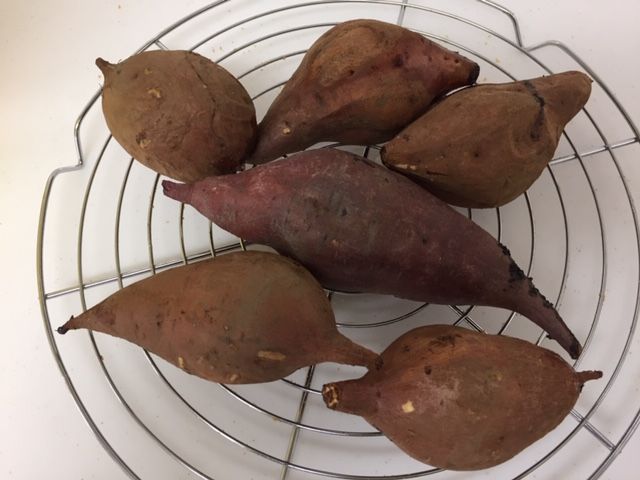 イメージ 7