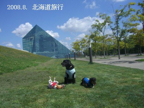 2008.8.札幌