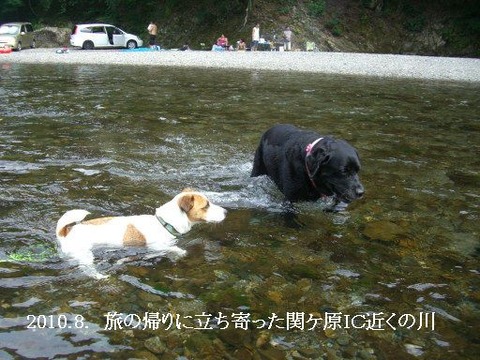2010.8.15
