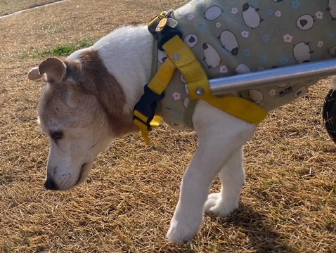 F0B0313E-442D-4E02-9AD0-E884FD2631DA