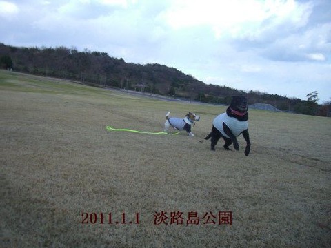 2011.1.1d新年は淡路島2