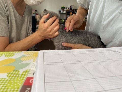 6A48395F-C6E7-4362-9700-907F73CC627C