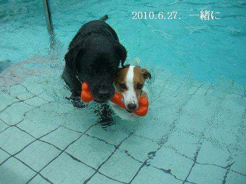 2010.6.27.引っ張る