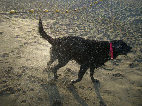 2011.8.夏旅行2-9