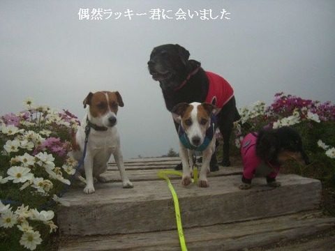 2013.11.1-5