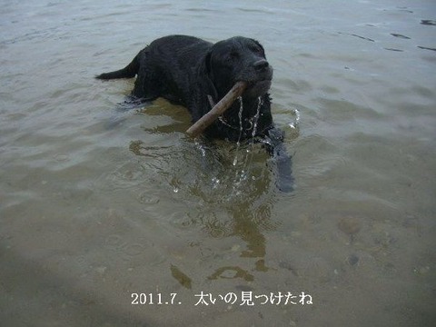 2011.7.琵琶湖5