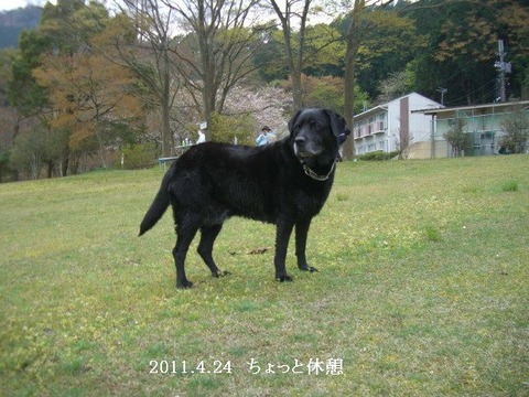 2011.4.24.琵琶湖3