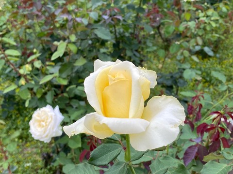 CB985A8F-2C74-4365-9FDF-62BEE89F0FAC