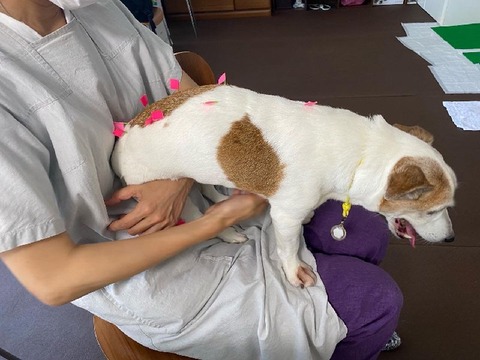 30C657DC-39C2-49B1-84FA-968327CB2951