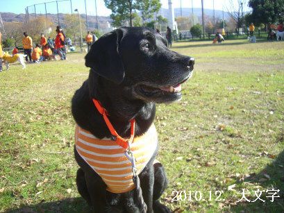 2010.12.5.犬文字2