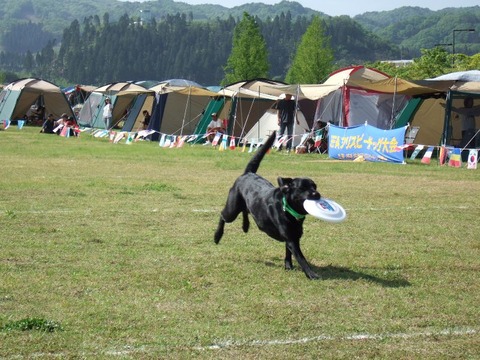 2005_0504(004)
