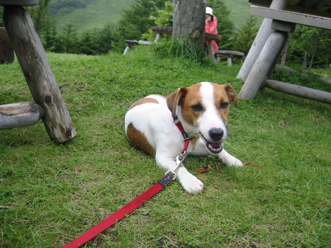 05.8.24小枝ちゃん