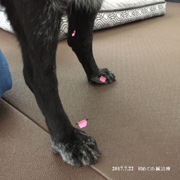 2017.7.22 (2)