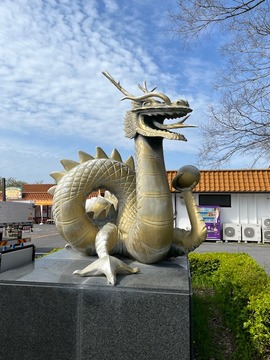 IMG_3874