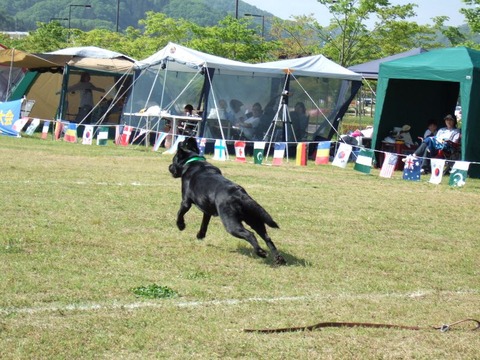 2005_0504(005)