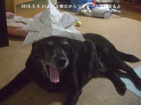 2016.5.2-1