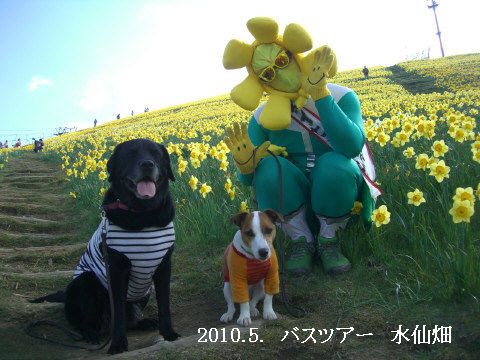 2010.5.わんこ一緒にバスツアー