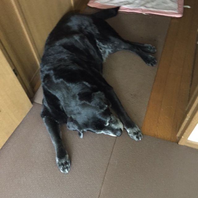イメージ 4
