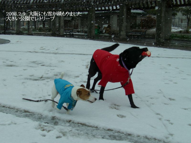 イメージ 8