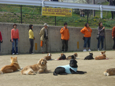 2008.3犬文字