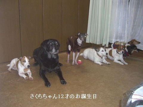 2013.12.1-1
