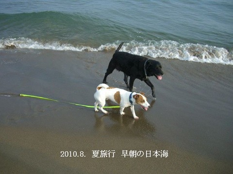 2010.8.3