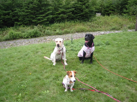 05.8.24さくらの笑顔