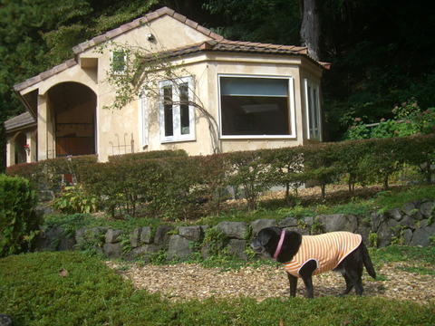 2014.10.1-13