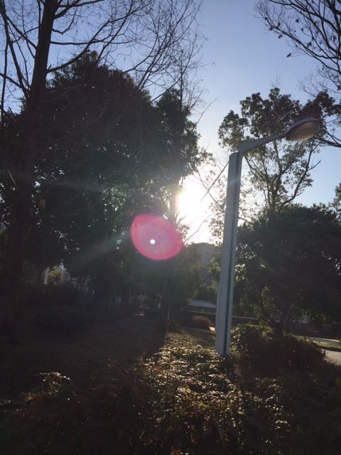 イメージ 4
