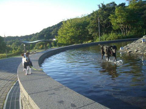 2011.9.1-7